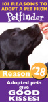 ... give good kisses