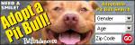Adopt a Pit Bull #4