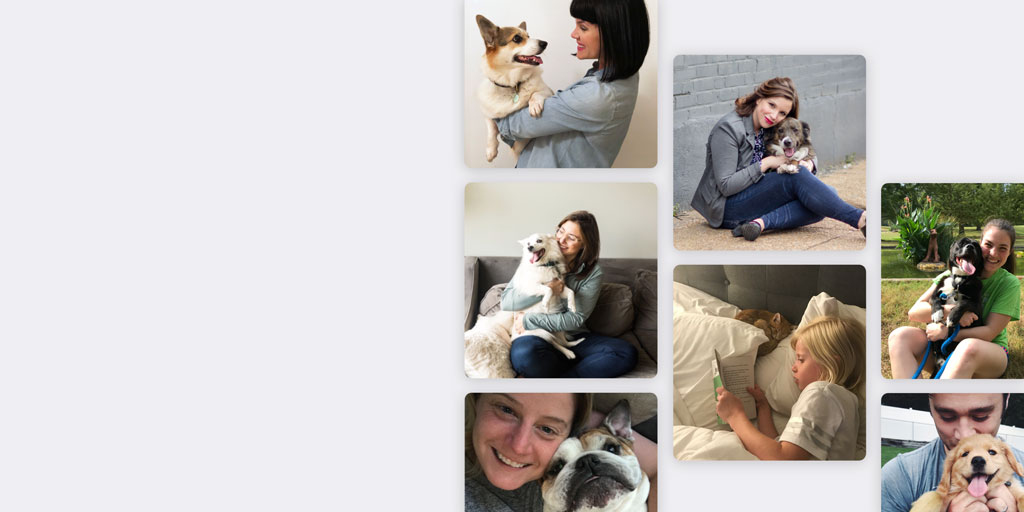 collection panels happy tails people with their pets